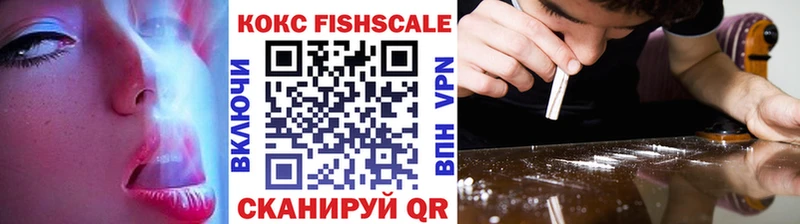 COCAIN Fish Scale  ссылка на мегу ССЫЛКА  Кадников  наркотики 
