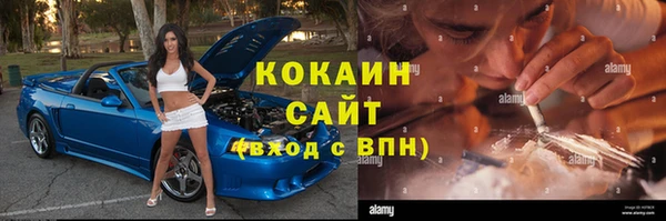 трава Вязьма