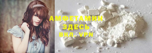 сатива Вяземский