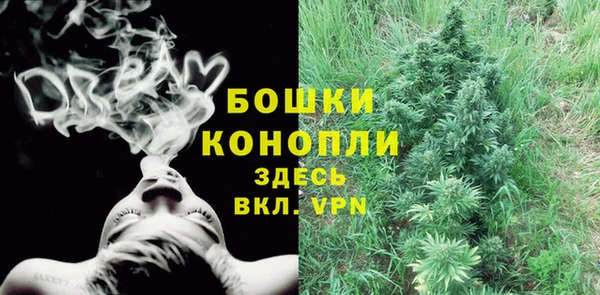 сатива Вяземский
