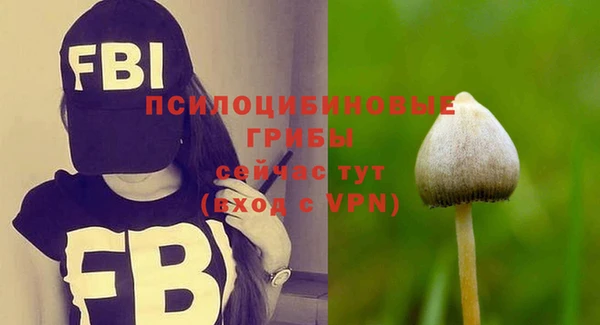 ПСИЛОЦИБИНОВЫЕ ГРИБЫ Волоколамск