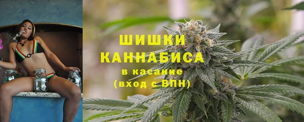 сатива Вяземский