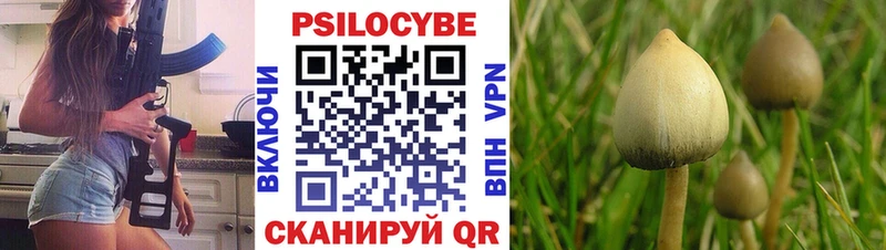 как найти   Кадников  блэк спрут вход  Галлюциногенные грибы Cubensis 